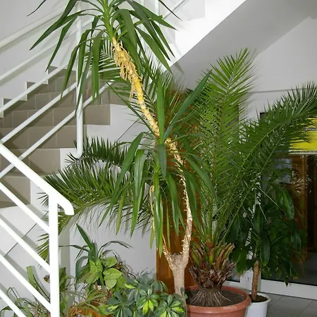 Arizona Apartman 3* Siofok